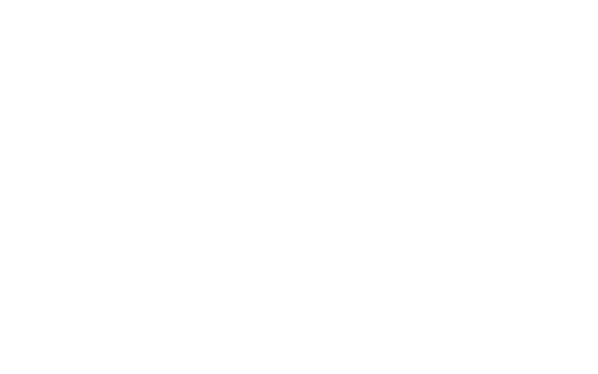 SINNLA Development Selection Holding Logo